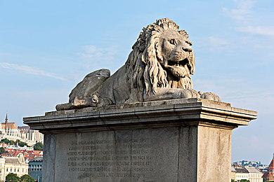 LG发布2022款OLED电视 新增42英寸和97英寸型号